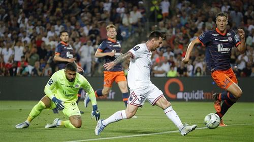 Lotosport Bet: Ultimate Guide to Sports Betting